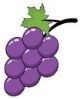 Grapes Vector Art, Icons, and Graphics for Free Download